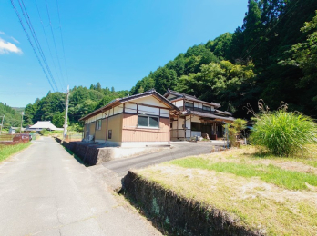 ���Ɍ����p�S���p���L���̌ˌ����݂̌��n�O�ώʐ^