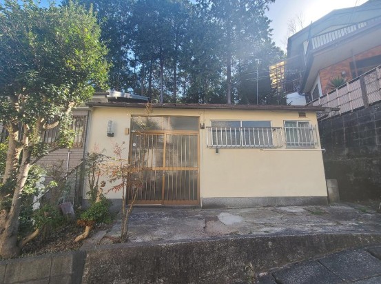 ޗǌsPǔˌ݂̌nOώʐ^