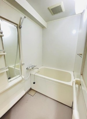 ���{���s���Z�g��k�c��5���ڂ̓����}���V�����̗���