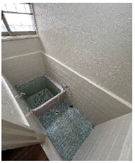 Ɍ_ˎs{sK4̌ˌ݂̉摜