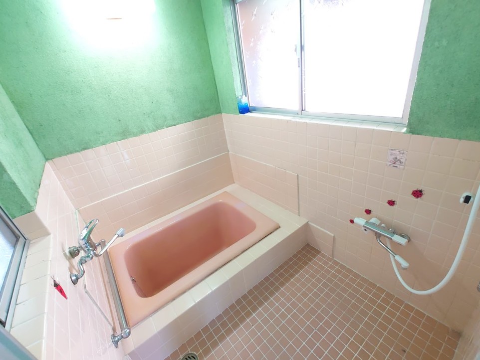 ���Ɍ����S��������V�c�̌ˌ����݂̗���