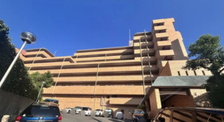 ���{�����s���R�蒬�̓����}���V�����̌��n�O�ώʐ^