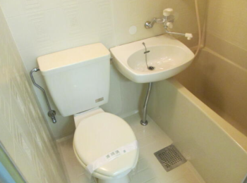 ���Ɍ����{�s��ˑ��̓����}���V�����̂��̑�����