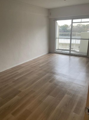 ���Ɍ��_�ˎs�{���断�@���A�`�����L1262-2�̓����}���V�����̂��̑�����