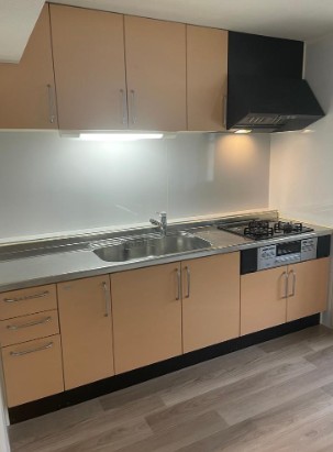 ���Ɍ��_�ˎs�{���断�@���A�`�����L1262-2�̓����}���V�����̃L�b�`��