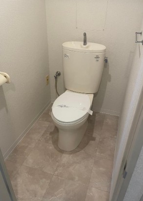 ���Ɍ��_�ˎs�{���断�@���A�`�����L1262-2�̓����}���V�����̃g�C��