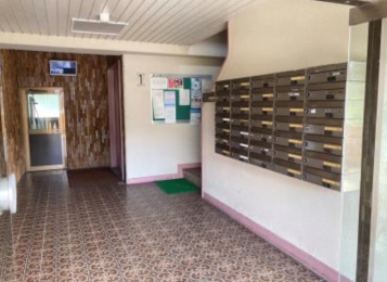 ���Ɍ��_�ˎs�k��ԎR����5-3�̓����}���V�����̂��̑����p��