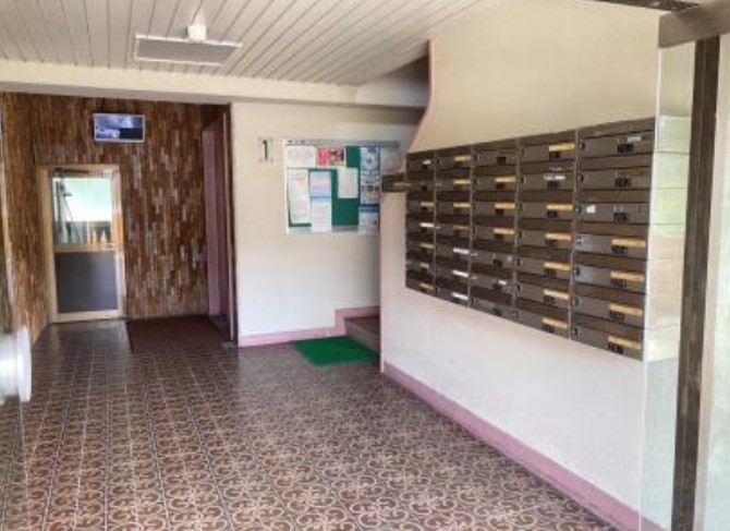 ���Ɍ��_�ˎs�k��ԎR����5-3�̓����}���V�����̂��̑����p��