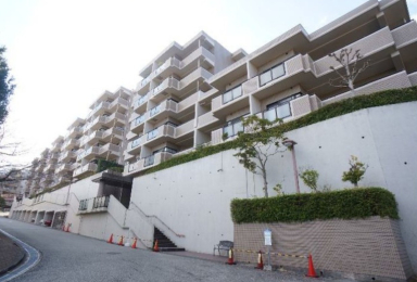 ���Ɍ����{�s����������1131-105�̓����}���V�����̌��n�O�ώʐ^