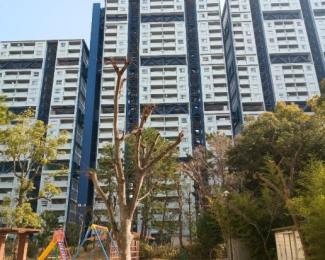 ���Ɍ������s���l��9-1�̓����}���V�����̌��n�O�ώʐ^