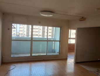 ���Ɍ������s���l��9-1�̓����}���V�����̂��̑�����