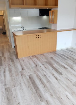 �ޗǌ������s�@�Ԏ���59-1�̓����}���V�����̃L�b�`��