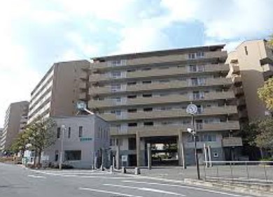 ���{�x�c�юs���z��3-3�̓����}���V�����̌��n�O�ώʐ^