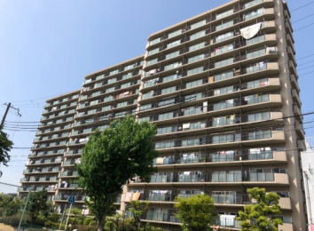 ���{���s�Z�V�]�敽�ѓ�2����6-54�̓����}���V�����̌��n�O�ώʐ^