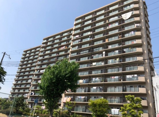 ���{���s�Z�V�]�敽�ѓ�2����6-54�̓����}���V�����̌��n�O�ώʐ^