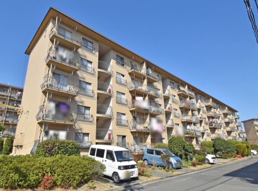 ���{��㋷�R�s���R5����2213-7�̓����}���V�����̌��n�O�ώʐ^