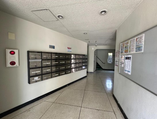 �a�̎R���a�̎R�s���V��1543�̓����}���V�����̂��̑����p��