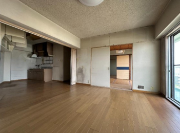 �a�̎R���a�̎R�s���V��1543�̓����}���V�����̂��̑�����