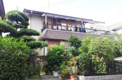 ���{���s�M�B�s��̌ˌ����݂̌��n�O�ώʐ^