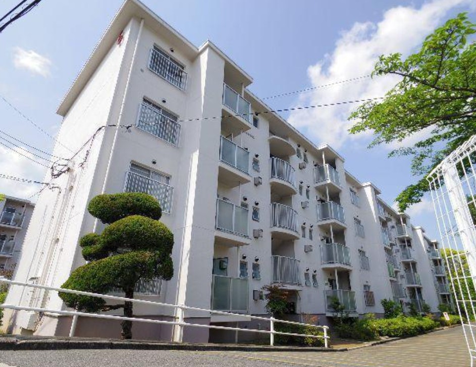 �ޗǌ����Ŏs�㒆�̓����}���V�����̌��n�O�ώʐ^