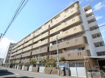 ���{���s�Z�g���V��2����4-12�̓����}���V�����̌��n�O�ώʐ^