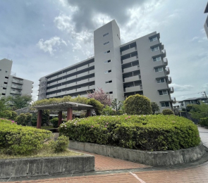 ���{���c�s�~�؎R21�̓����}���V�����̌��n�O�ώʐ^