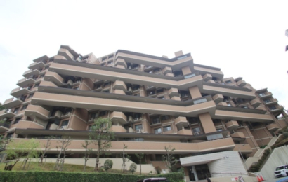 {cstu12-38̓}V̌nOώʐ^