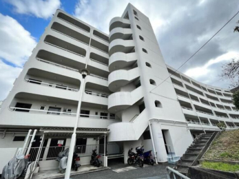 {cs܌u2̓}V̌nOώʐ^