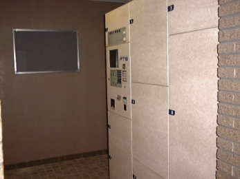 ���s�{���s�s�㋞�搼���̓����}���V�����̌��n�O�ώʐ^