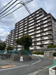 {cstuk21-1̓}V̌nOώʐ^