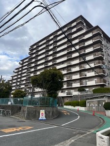 {cstuk21-1̓}V̌nOώʐ^