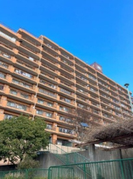 Ɍ_ˎskkܗt2ڂ̓}V̌nOώʐ^