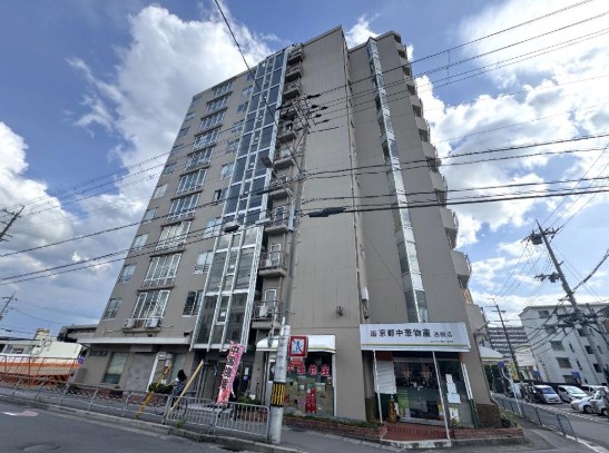 ���s�{���s�s�E���搼�@���L�쒬�̓����}���V�����̌��n�O�ώʐ^