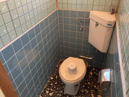 �ޗǌ�����s�E��̌ˌ����݂̃g�C��