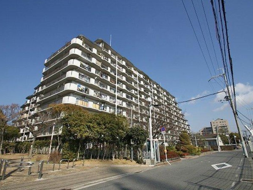 {Ύs4ڂ̓}V̌nOώʐ^